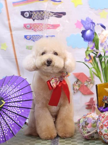 20240515クーくん